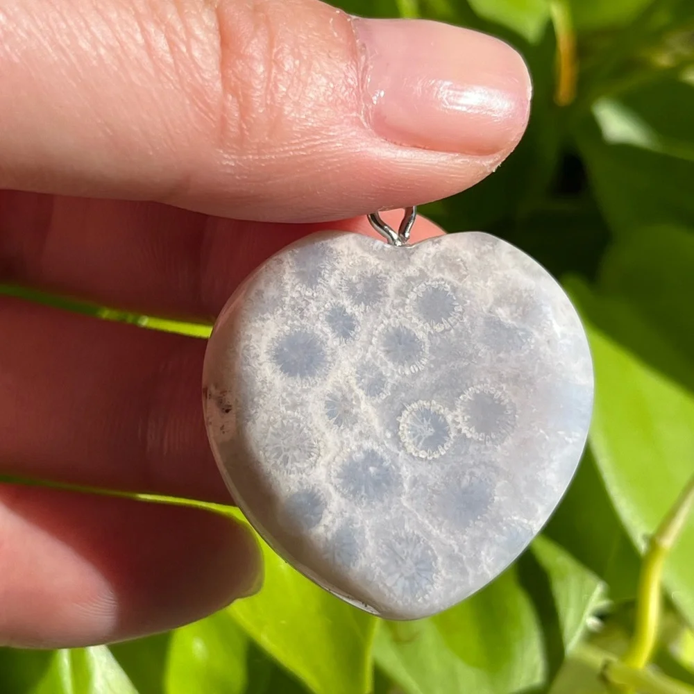 Beautiful stainless steel fossil‎ coral jade pendant 1573